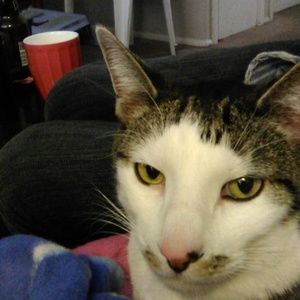 Meet your Posher, Ashlee